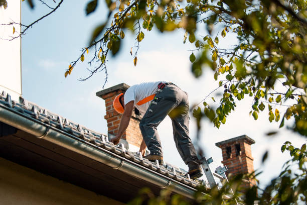 Best Slate Roofing  in Farrell, PA