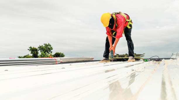 Best Roof Replacement  in Farrell, PA