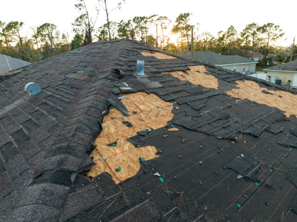 Best Storm Damage Roof Repair  in Farrell, PA