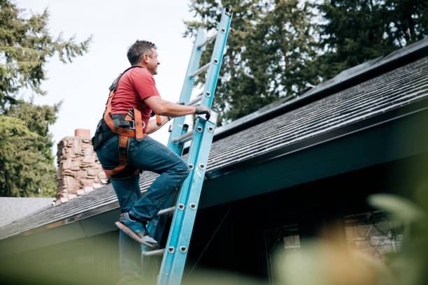 Best Solar Panel Roofing Installation  in Farrell, PA