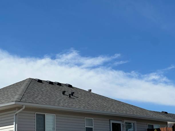 Best Skylight Installation and Repair  in Farrell, PA